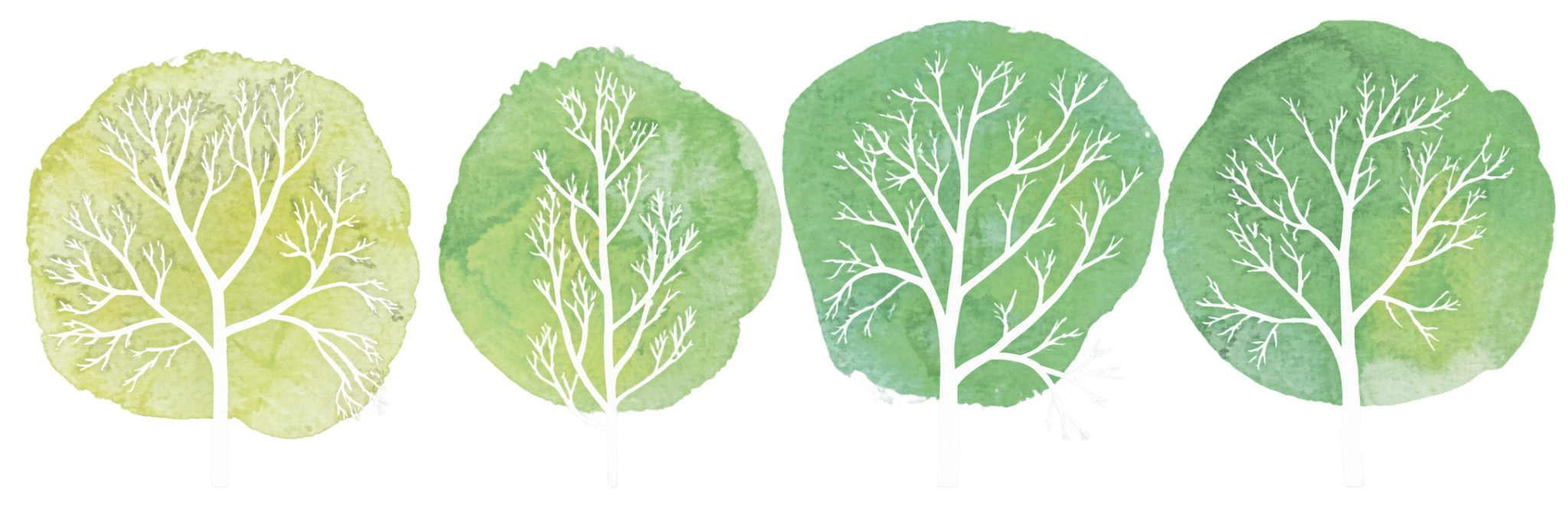 Healing with DMSO