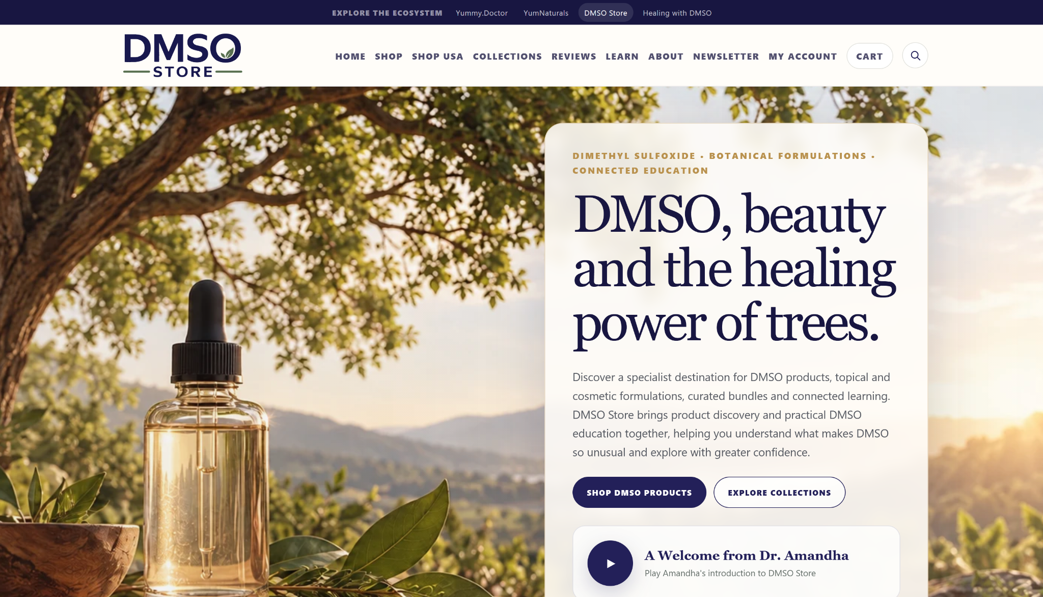 DMSO Store homepage hero